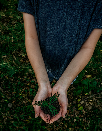 ESG-afbeelding – handen in de natuur