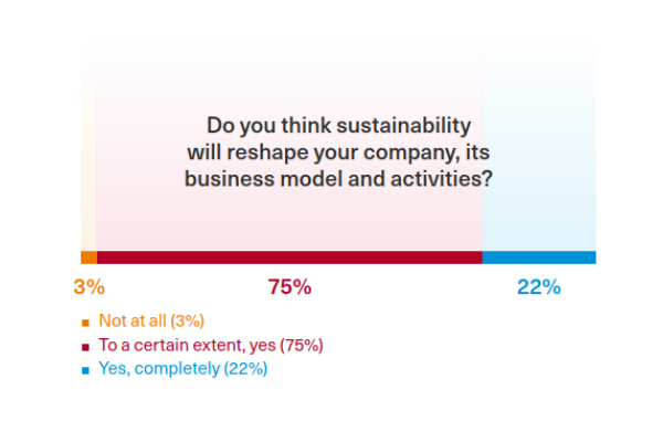 impact sustainability
