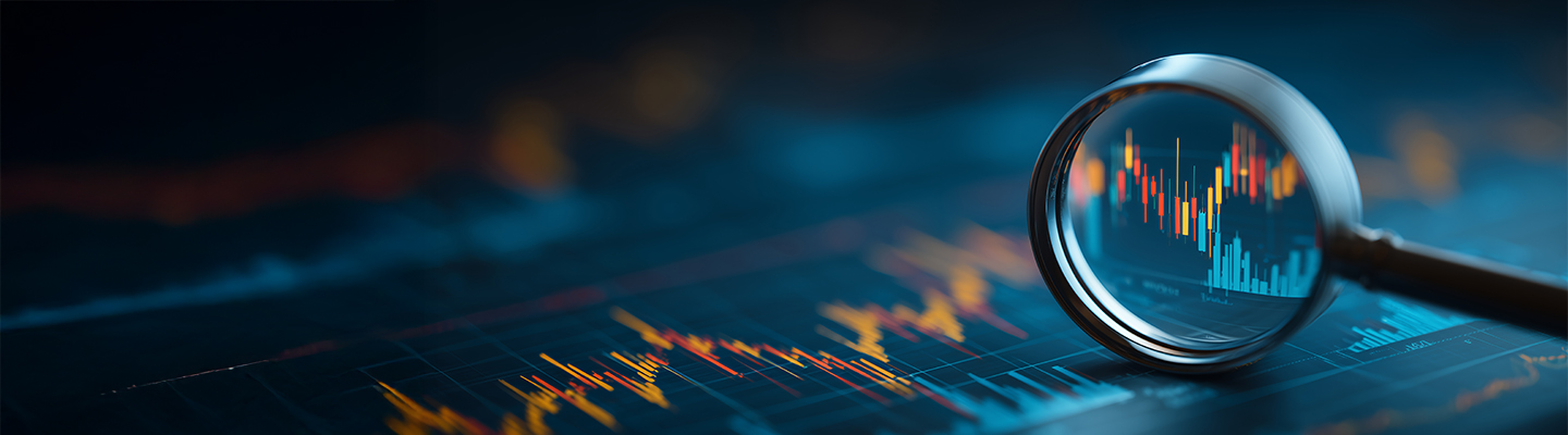 IFRS Loupe de recherche