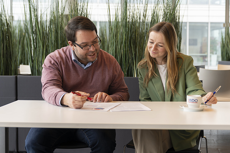 Employees BDO - People manager