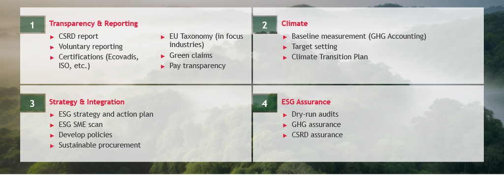 Omnibus regulations - How we can help