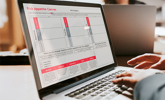 Person using Risk Appetite Template