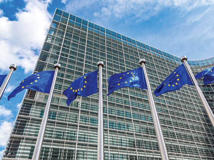 European parlement