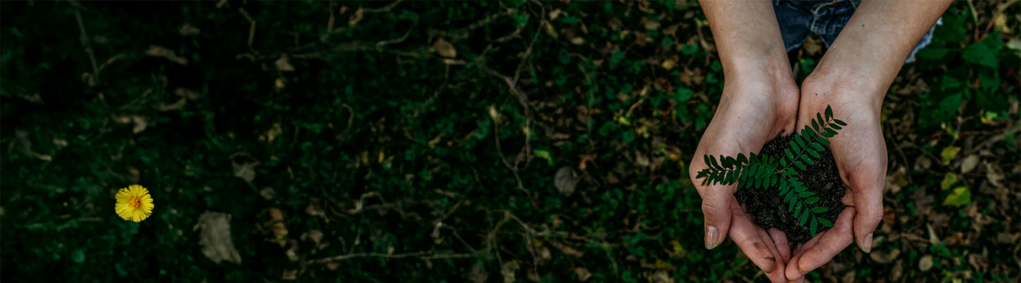 ESG-afbeelding – handen in de natuur